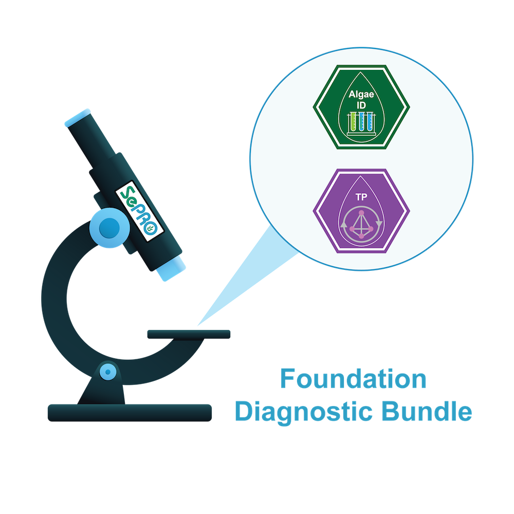 Foundation Diagnostic Bundle