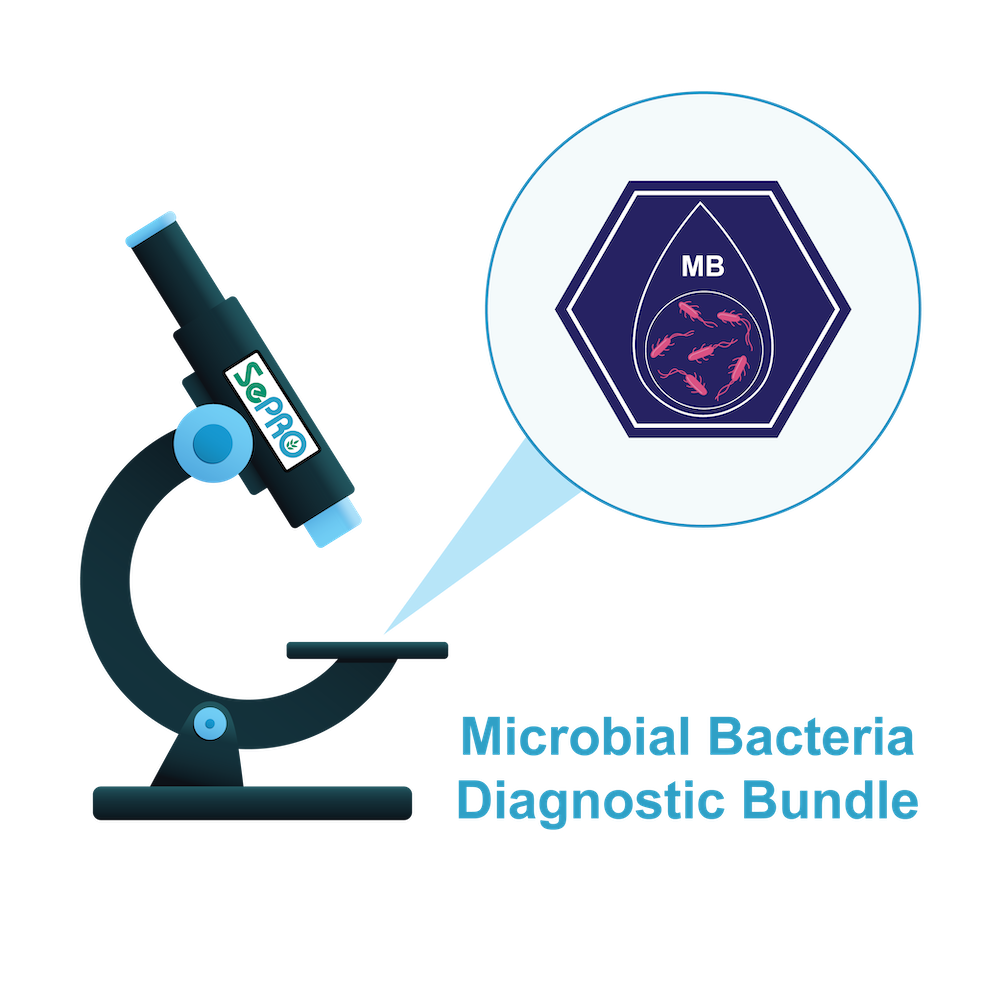 Microbial Bacteria Diagnostic Bundle