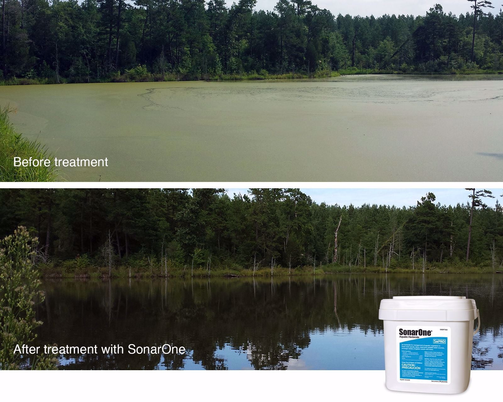 sonar one before and after