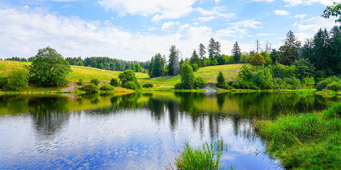 Not All Pond Dyes are Equal