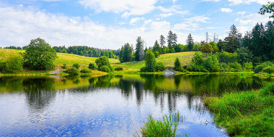 Not All Pond Dyes are Equal