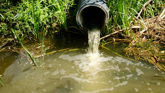 What Does Poor Water Quality Impact?