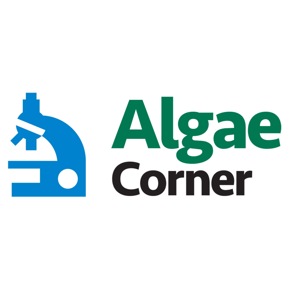 Algae Corner