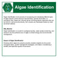 Algae & Water Quality Baseline Plus Bundle