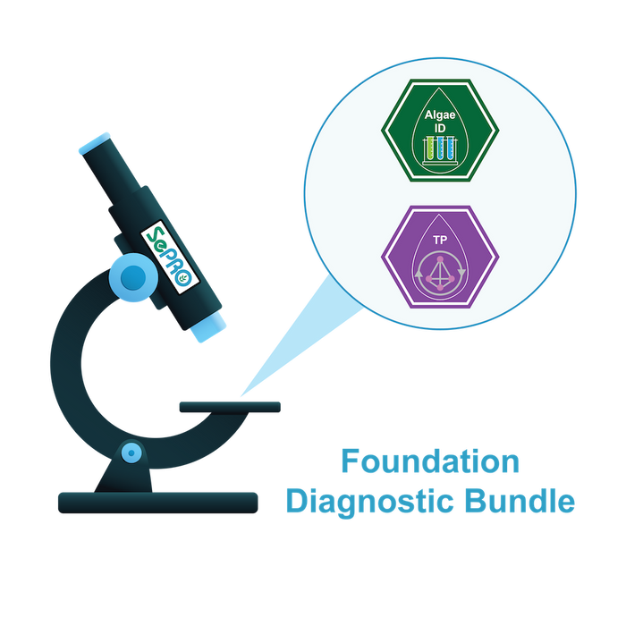 Foundation Diagnostic Bundle