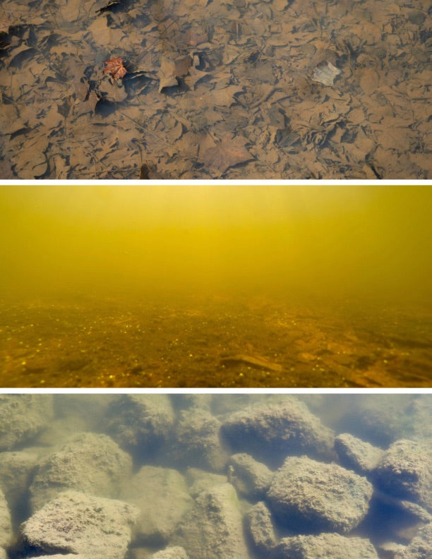 Improve clarity, odor, nutrients, and long-term pond balance