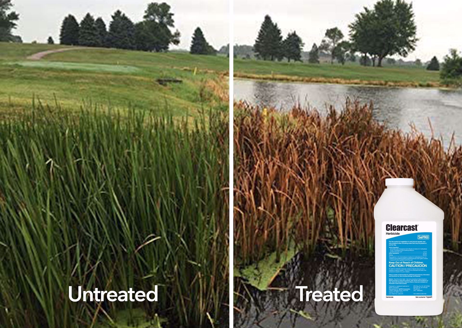 herbicide to kill cattails Clearcast 1 Quart Bottle