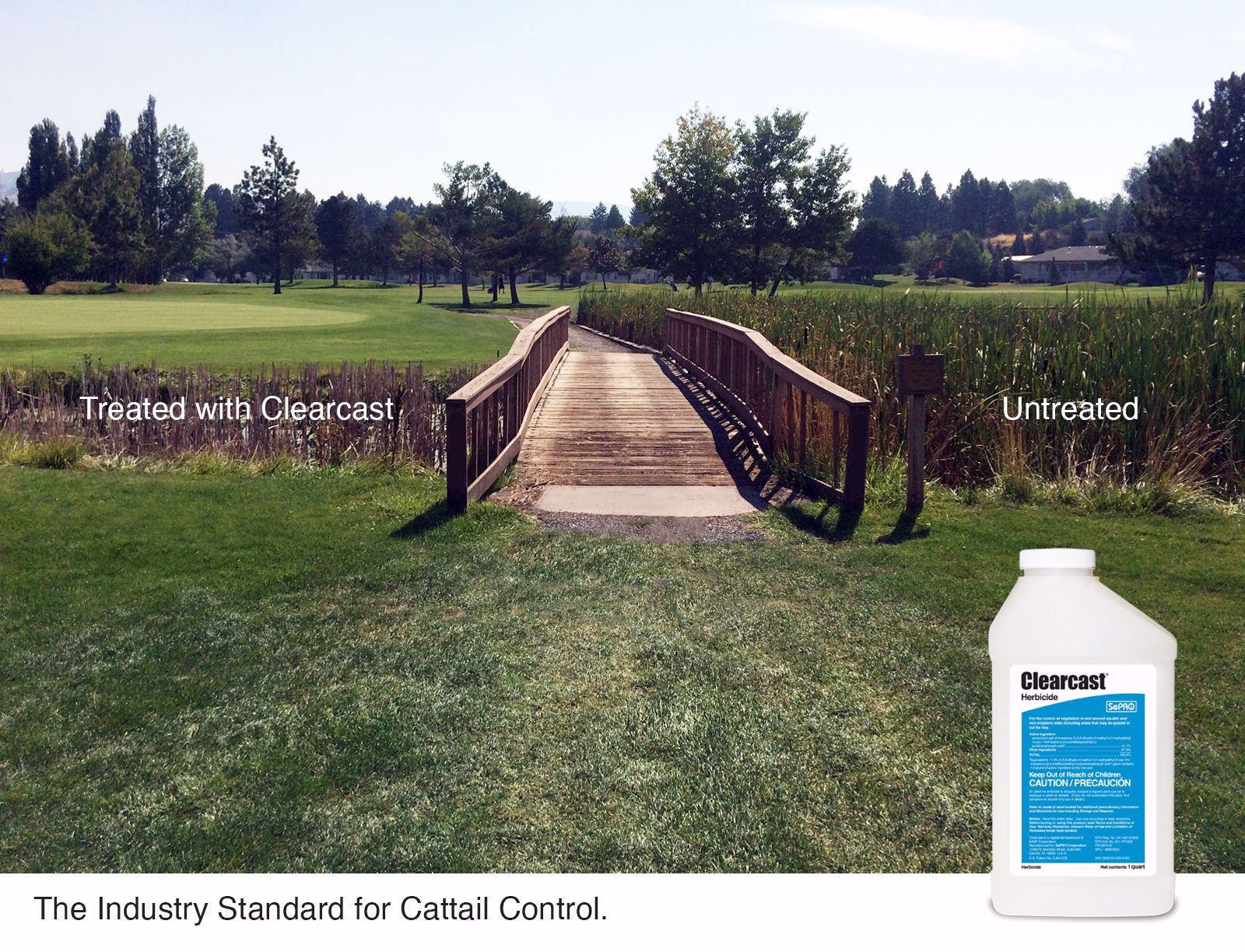 cattail herbicide treatment Clearcast 1 Quart Bottle