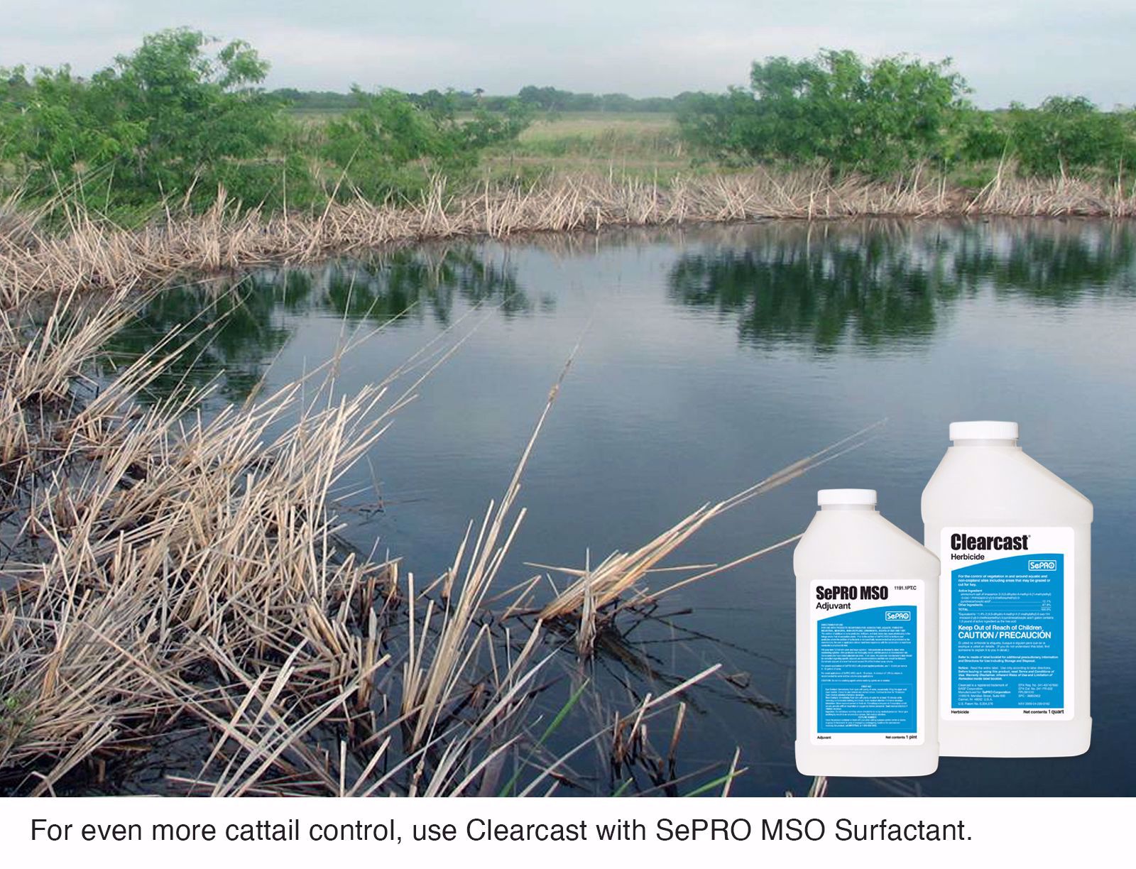 clear out herbicide Clearcast 1 Quart Bottle